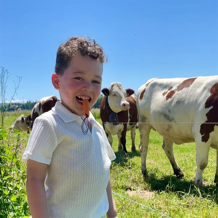 Beisskette Nino der Fuchs - 0