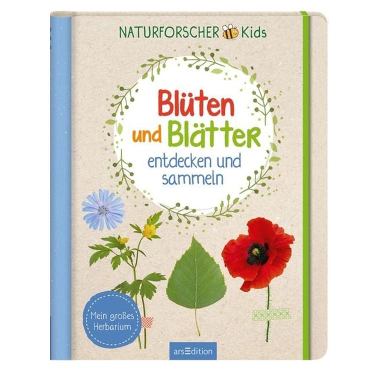 Blüten und Blätter entdecken und sammeln - Naturforscher Kids