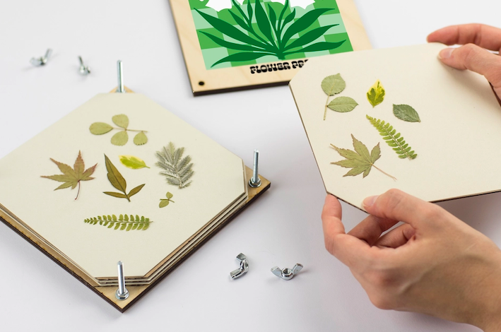 Blumenpresse Gänseblümchen - 2