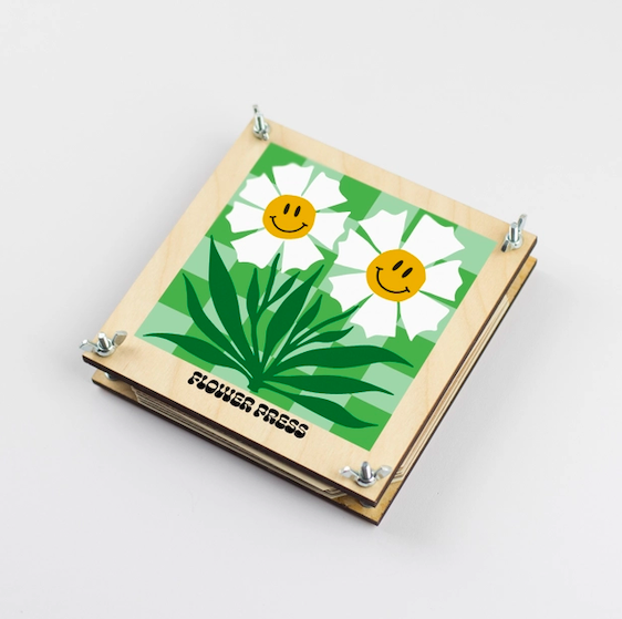 Blumenpresse Gänseblümchen