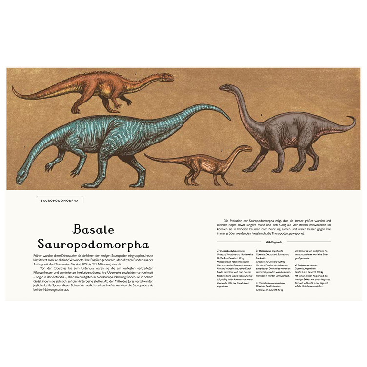 Das Museum der Dinosaurier - Eintritt frei! - 4