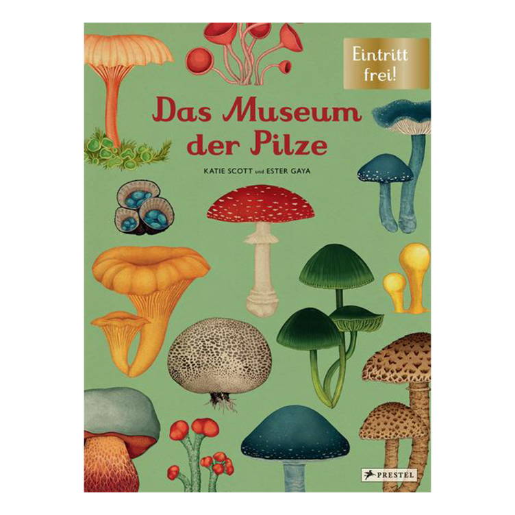 Das Museum der Pilze - Eintritt frei!