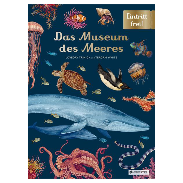 Das Museum des Meeres - Eintritt frei!