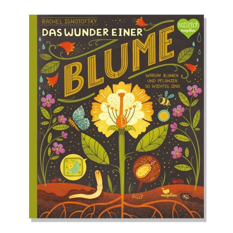 Das Wunder einer Blume - Warum Blumen und Pflanzen so wichtig sind