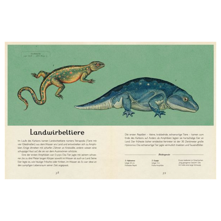 Die Entstehung des Lebens - Evolution - 0