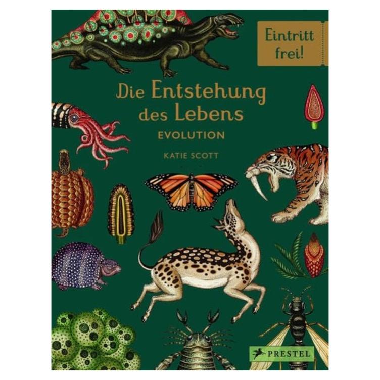 Die Entstehung des Lebens - Evolution