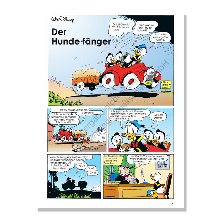 Donald Duck in leichter Sprache - Aus dem Leben einer Ente - 0