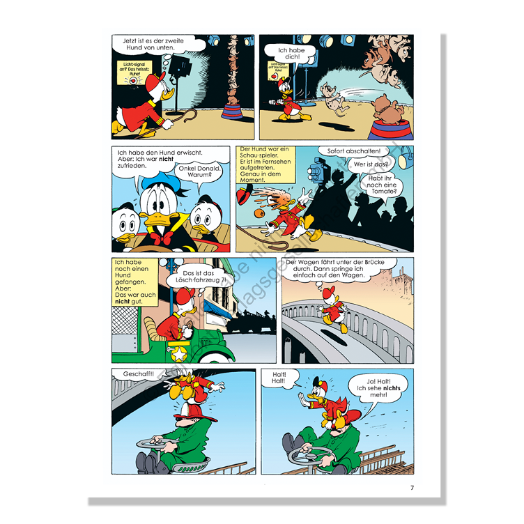 Donald Duck in leichter Sprache - Aus dem Leben einer Ente - 6