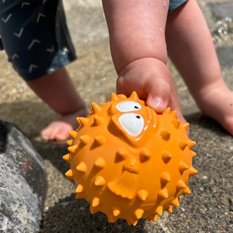 Finn der Kugelfisch - 1