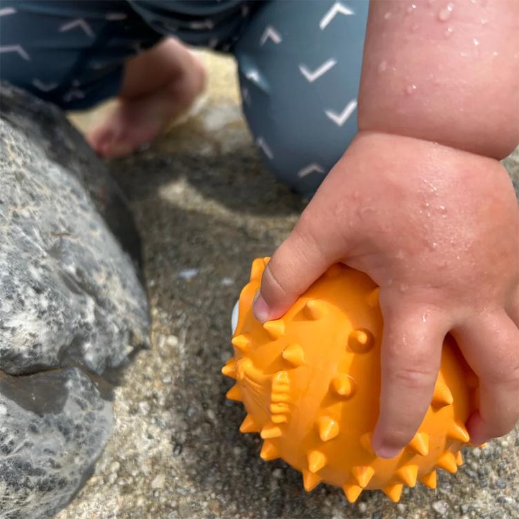 Finn der Kugelfisch - 0