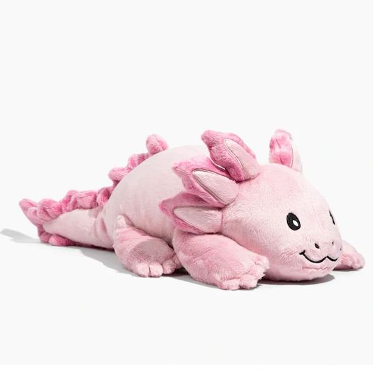 Gewichtskuscheltier Axolotl 2,3 kg - 0