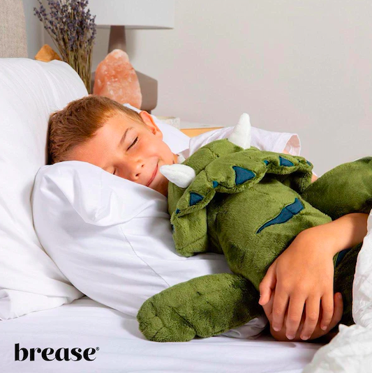 Gewichtskuscheltier Dinosaurier 2,3 kg - 3