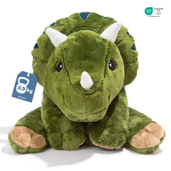 Gewichtskuscheltier Dinosaurier 2,3 kg