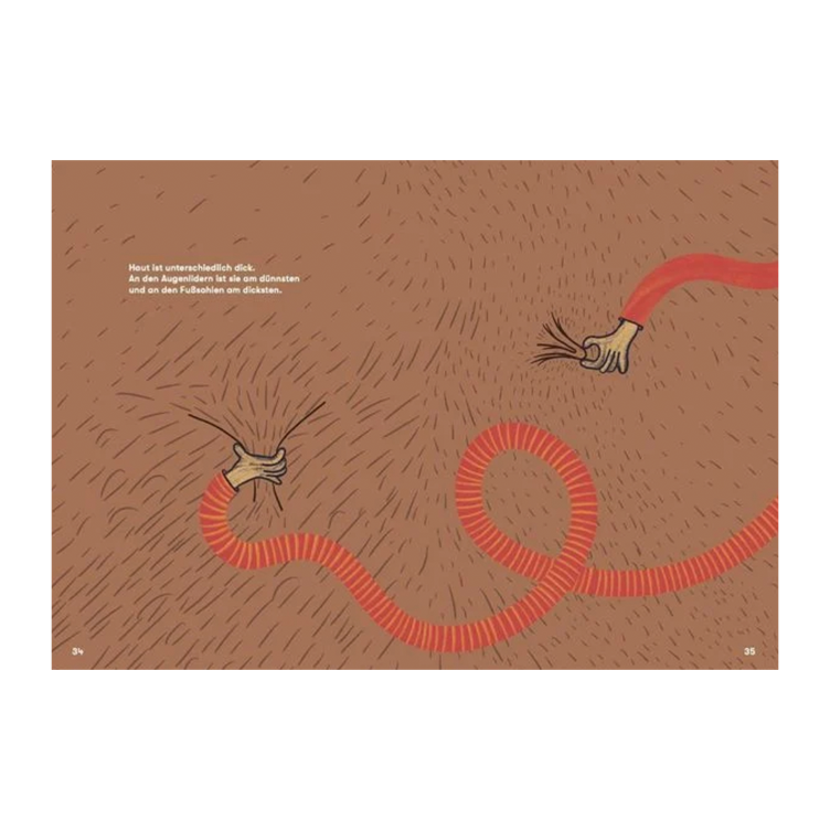 Haut und Haaren auf der Spur - Wie sie uns einzigartig machen - 3