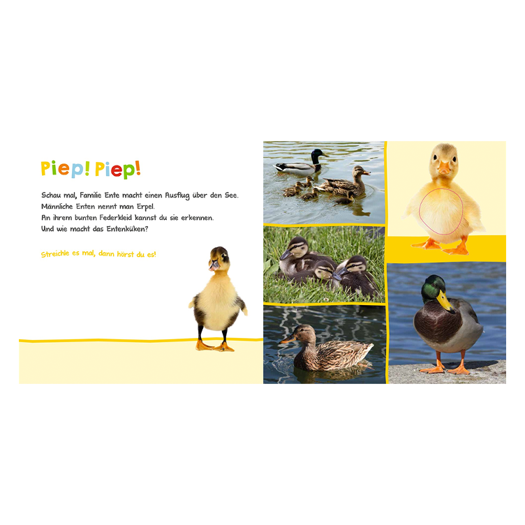 Hör mal rein, wer kann das sein? - In der Natur - 2
