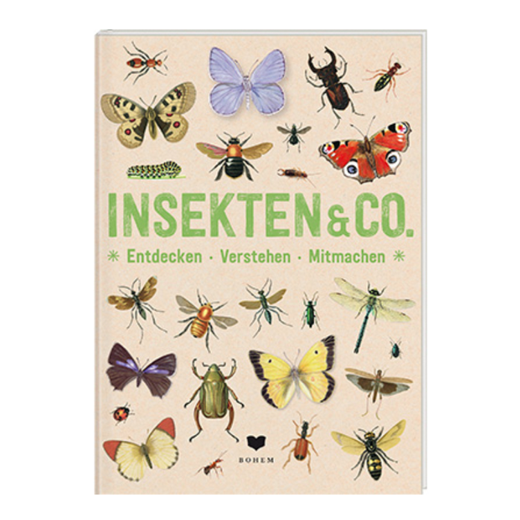 INSEKTEN & Co - Entdecken - Verstehen - Mitmachen