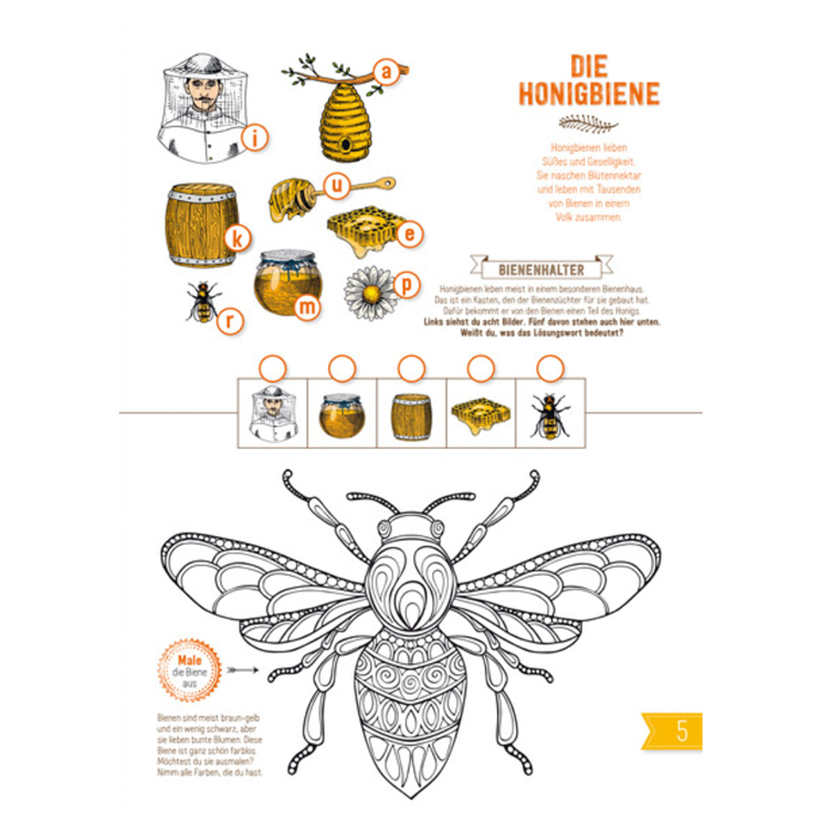 INSEKTEN & Co - Entdecken - Verstehen - Mitmachen - 3