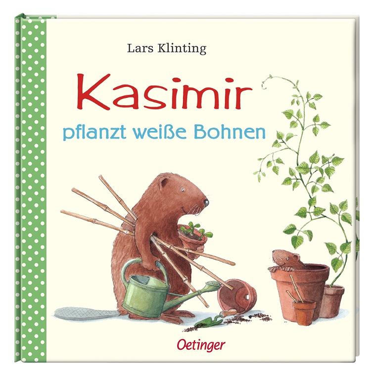 Kasimir pflanzt weisse Bohnen