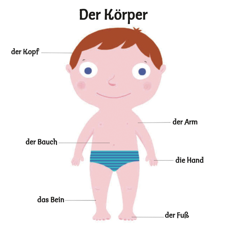 Mein erstes Buch vom Körper - 1