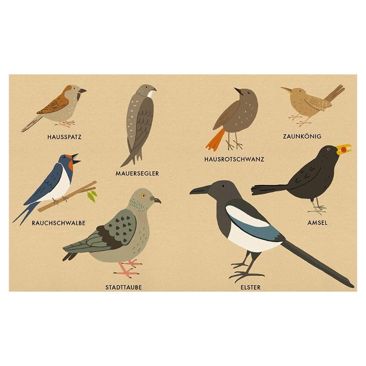Mein kleines Vogelbuch - 1