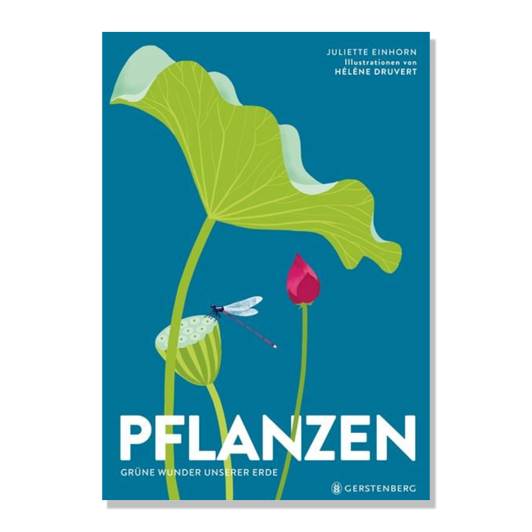 Pflanzen - Grüne Wunder unserer Erde