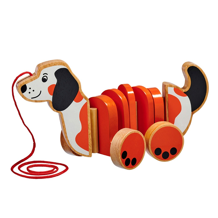 Nachzieh-Hund