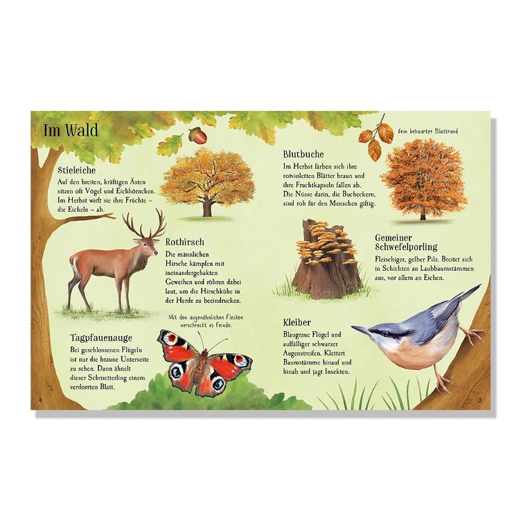 Usborne Minis - Naturführer: Entdecke den Herbst - 0