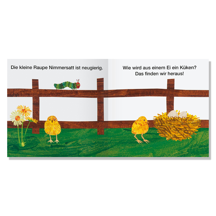 Vom Ei zum Küken - Erklär mir das, kleine Raupe Nimmersatt - 0